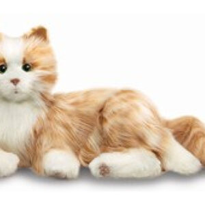 Terapeutisk Robotkat